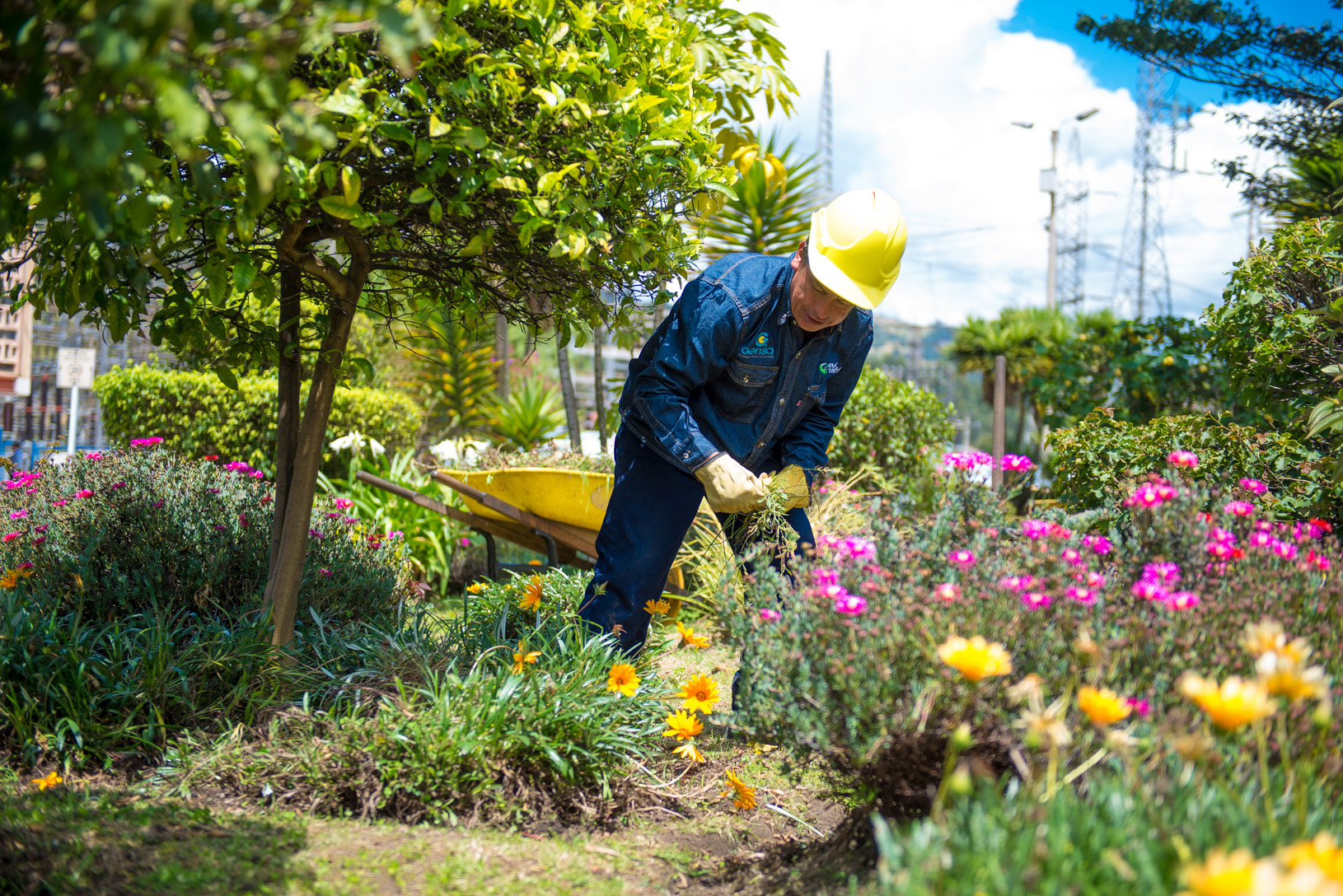 imagen de funcionario de gensa haciendo labores de jardineria